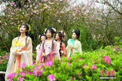 （乡村行·看振兴）十里樱花绽放 江西赣县激活文旅消费新动能